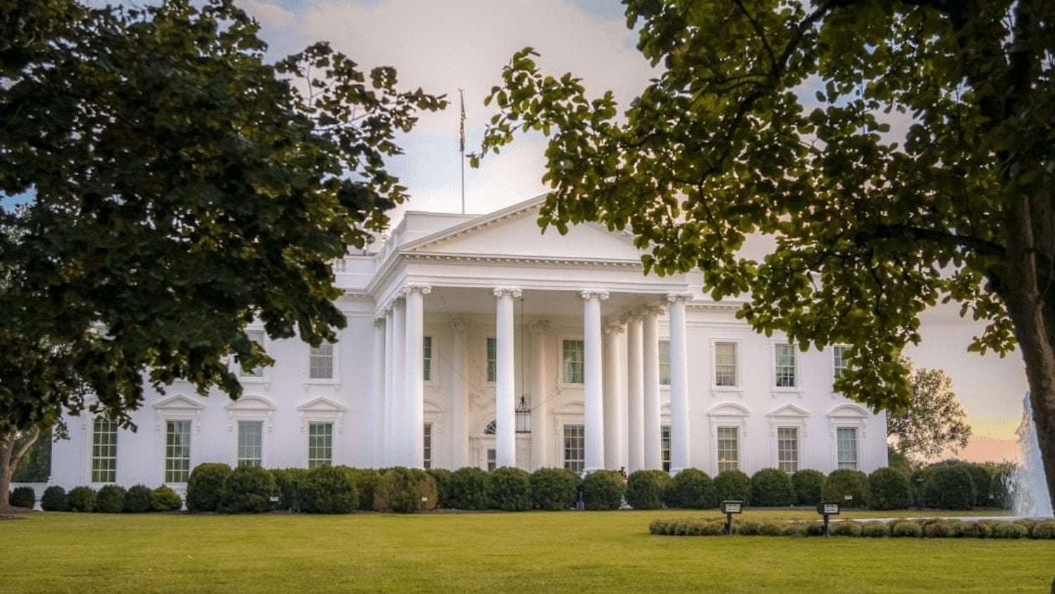 image for August 2024 National Poll: Harris 50%, Trump 46%