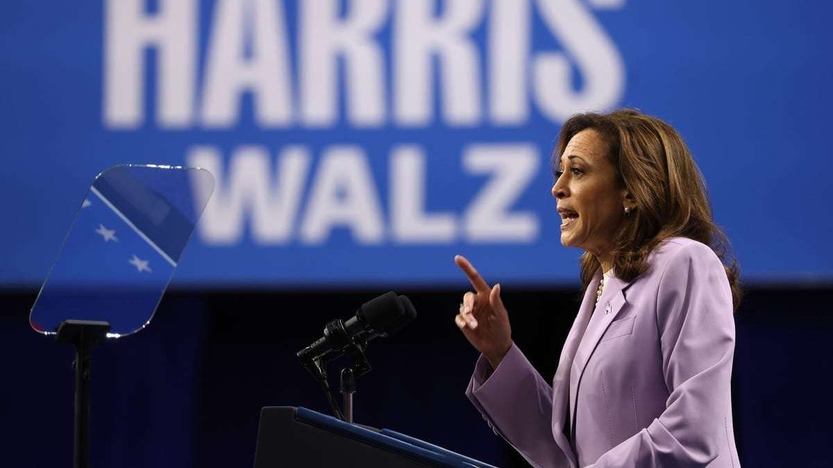 image for Kamala Harris wants to stop Wall Street’s homebuying spree