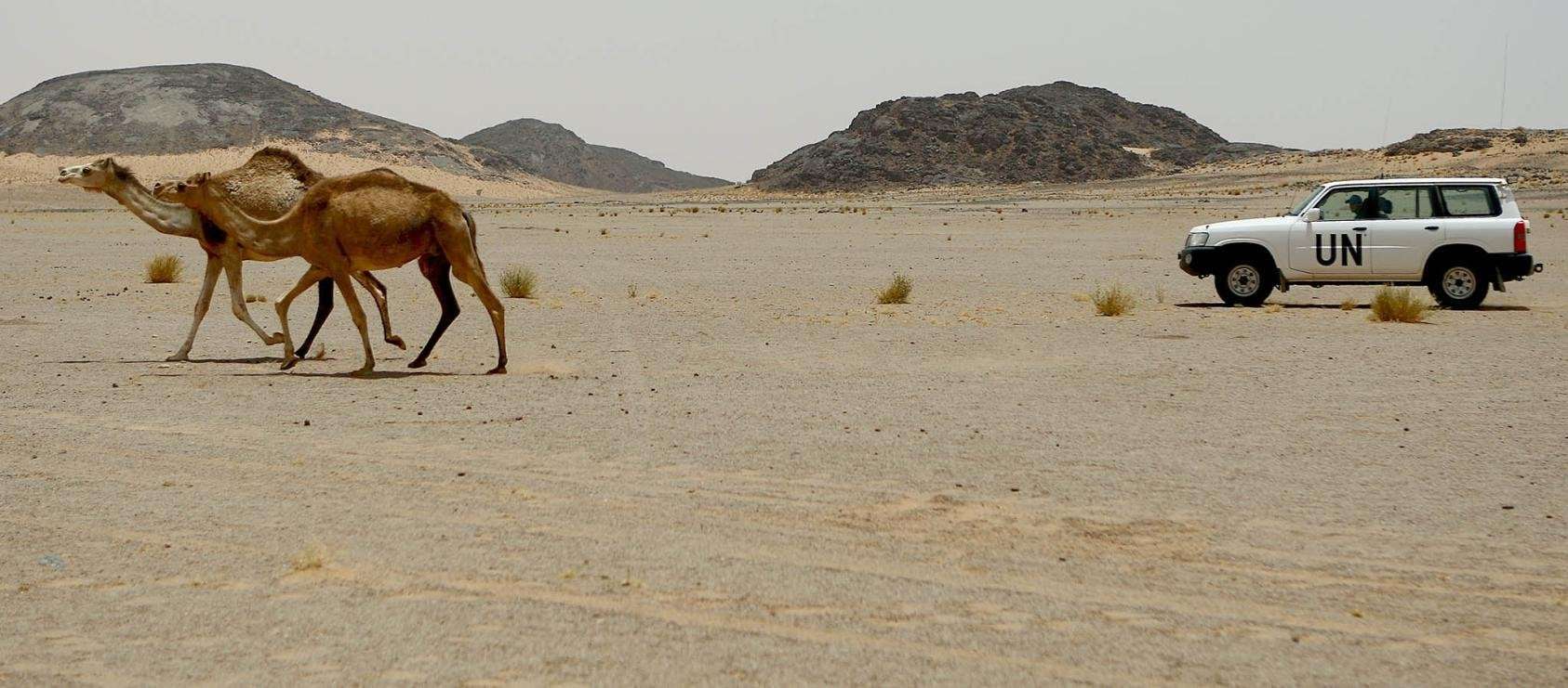image for Western Sahara’s conflict is over. Negotiating the terms comes next.