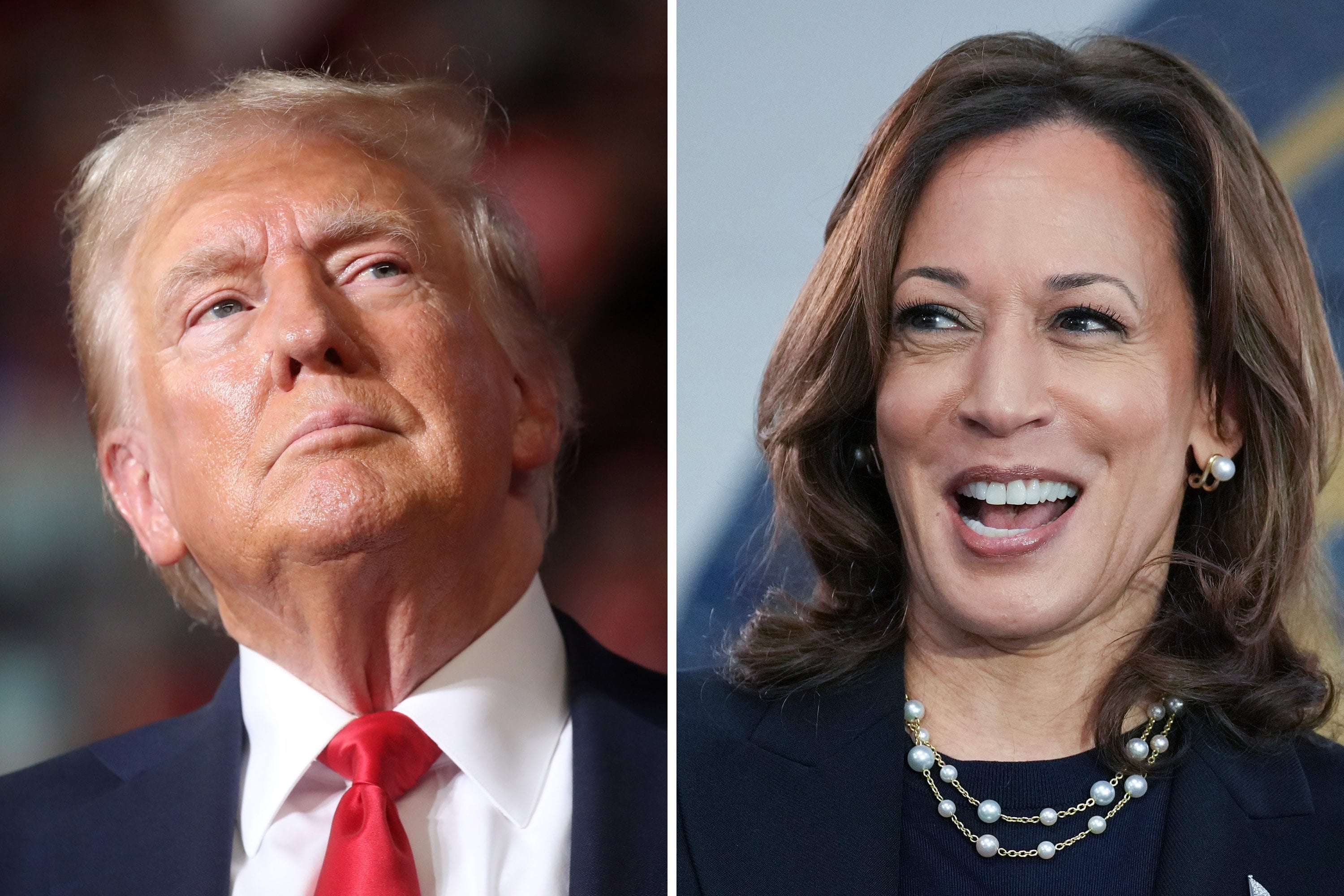 image for Donald Trump Mocked for Saying He's 'Better Looking' Than Kamala Harris