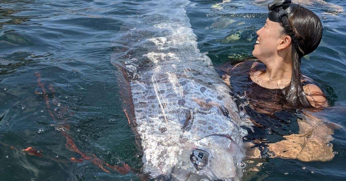 image for Extremely rare "doomsday fish" found off Southern California coast