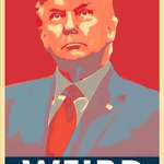 image for Weird