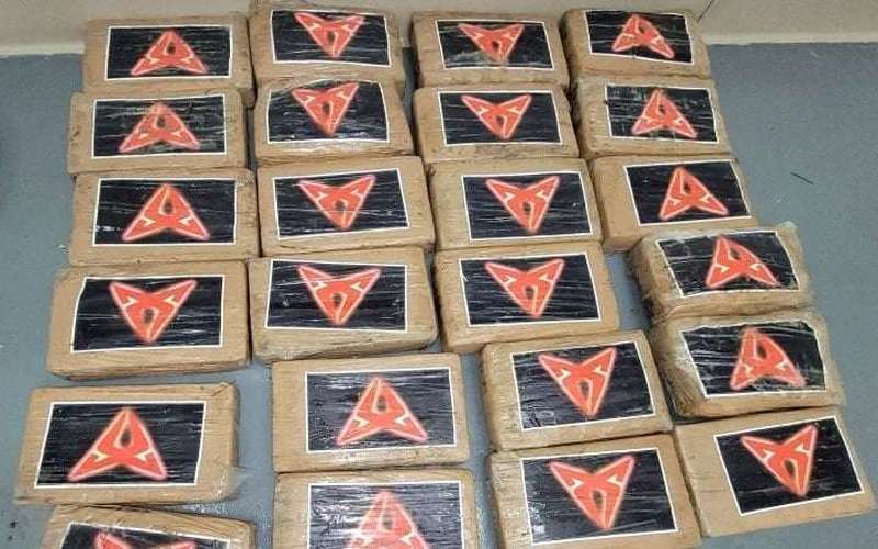 image for Hurricane Debby: More than $1.6 million worth of cocaine washes up on Florida beaches