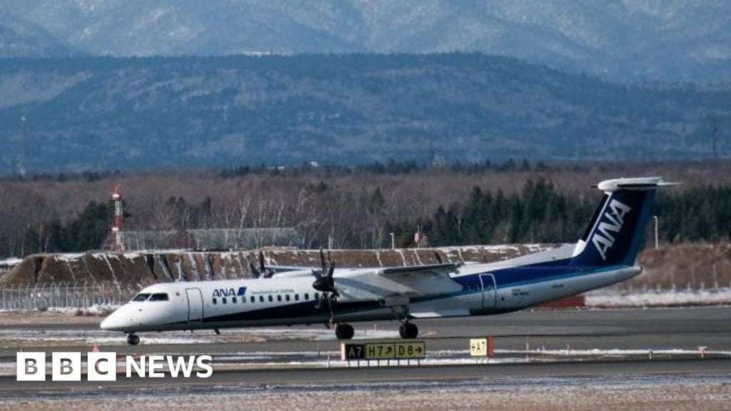 image for Flights cancelled in Japan after scissors go missing