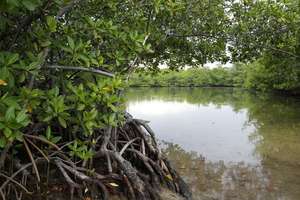 image for 