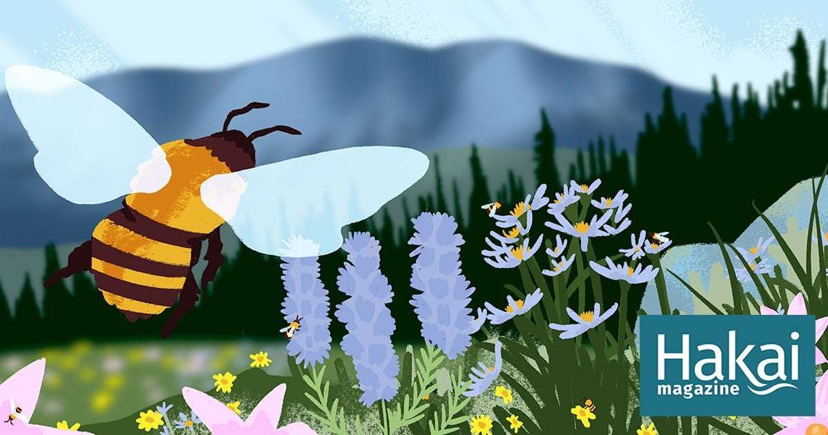image for Here a Bee, There a Bee, Everywhere a Wild Bee