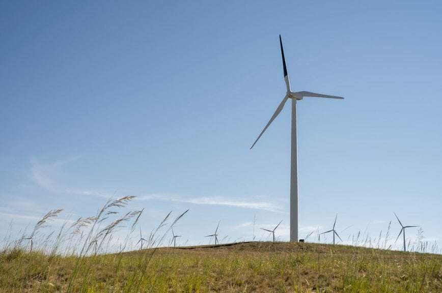 image for Oregon researchers paint wind turbines partly black to reduce bird deaths • Oregon Capital Chronicle
