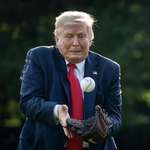 image for Trump playing Baseball/Catch in 2020