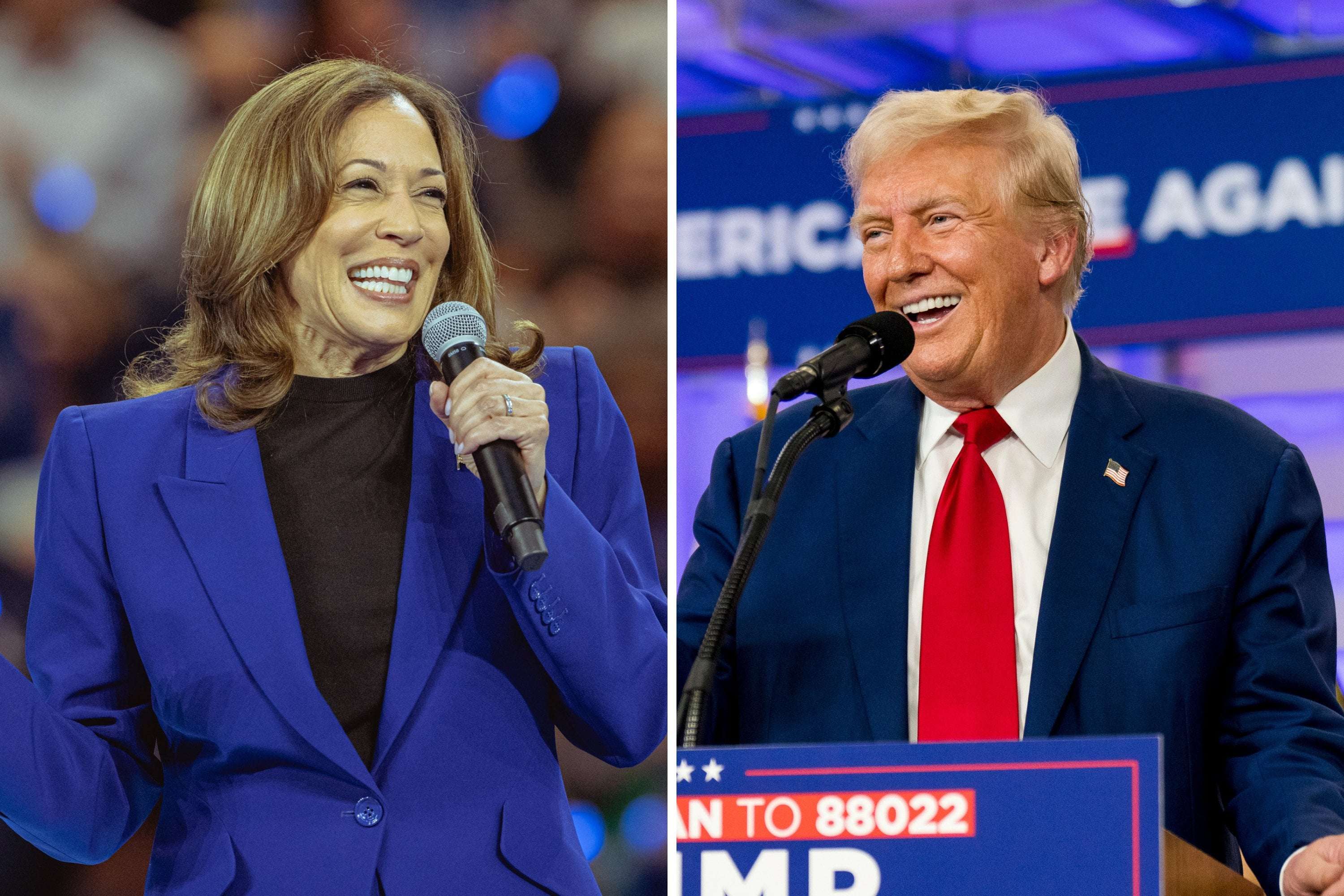 image for Kamala Harris Takes 7-Point Lead Over Donald Trump in New National Poll