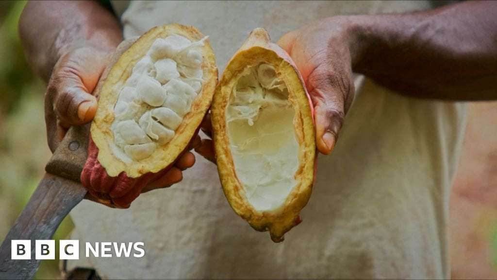 image for Swiss chocolate: Scientists cut waste and sugar