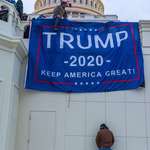 image for January 6 United States Capitol pissed on