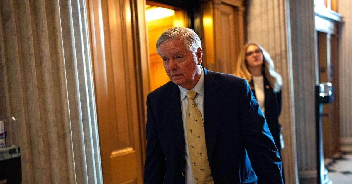 image for Lindsey Graham Utterly Embarrassed During Pathetic Defense of Trump