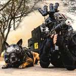 image for NSG black cat commando and K-9.
