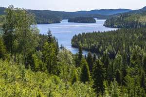 image for 
