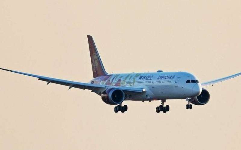 image for Crying toddler locked in airplane bathroom sparks debate about parenting in China
