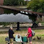 image for Tested 25x zoom on my new iPhone on a group of people on the other side of the river.