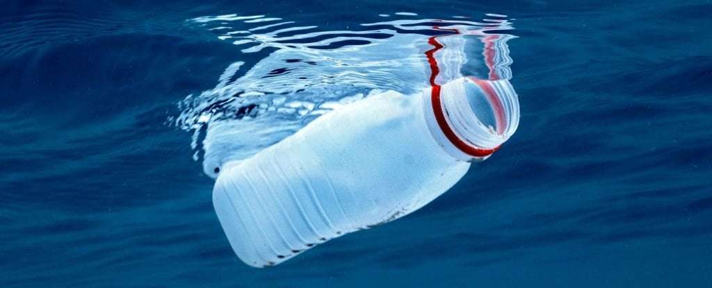 image for New 'Living Plastic' Self-Destructs Once It's Thrown Away