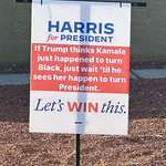 image for When Harris turns President