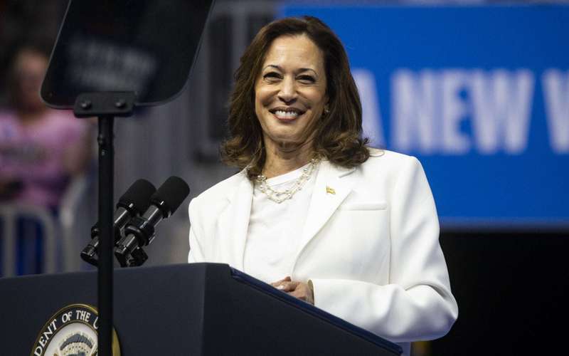 image for Quarter of Republicans View Kamala Harris Campaign Positively: New Poll