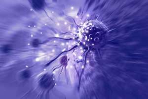 image for 