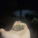 image for Found a part of a skull while digging out a basement today