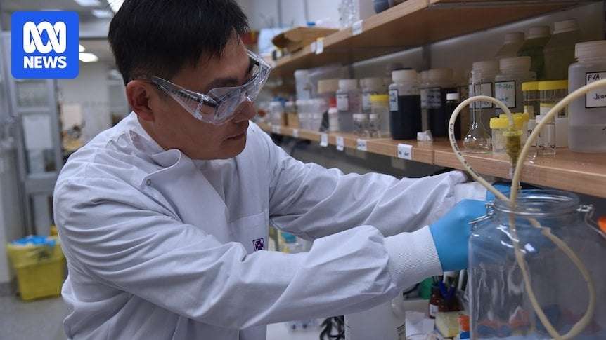 image for Scientists invent filter that can recycle PFAS into renewable batteries