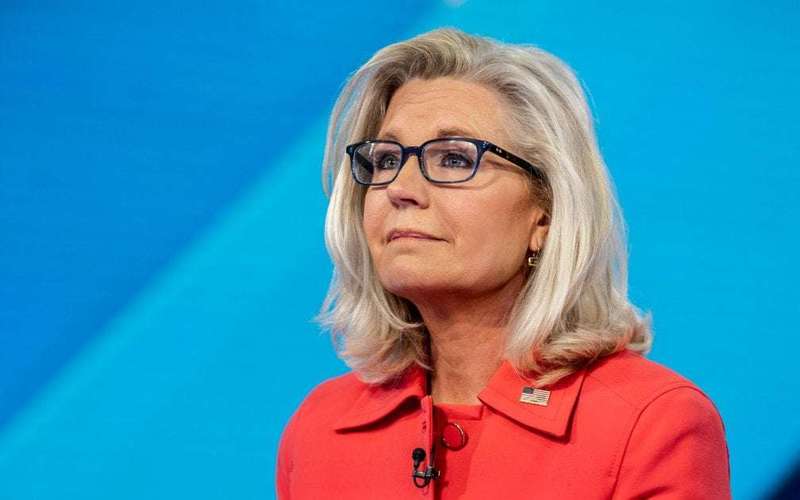 image for Liz Cheney endorses Harris for president