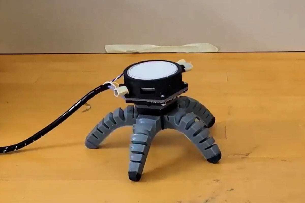 image for Mushroom learns to crawl after being given robot body