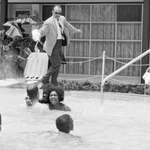image for Motel manager Jimmy Brock pouring acid into a pool to stop black people from swimming. 6/18/64