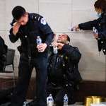 image for Capitol police recovering after being attacked with bear spray on Jan 6th.