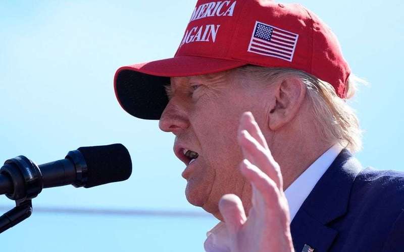 image for Now Trump Has Decided He Is 'Very Offended' By Putin's Endorsement Of Kamala Harris