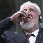 image for Slobodan Praljak War criminal drinking poison after hearing a 20-year sentence in court.