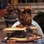 image for Illegal alien eating a cat on TV.