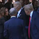 image for Donald Trump and Kamala Harris shake hands at 9/11 memorial service (September 11, 2024)