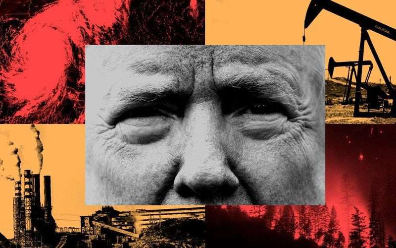 image for If Trump Wins in November, Life on Earth Is Likely to Get Far, Far Worse