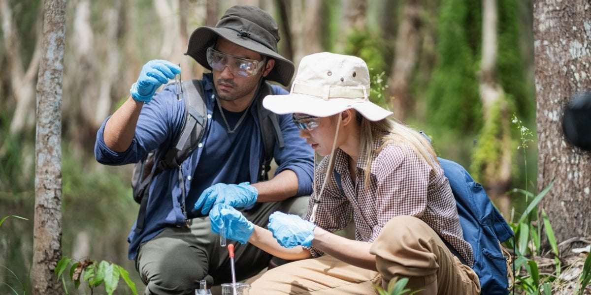 image for Ig Nobel Prize goes to scientists who discovered butt-breathing mammals