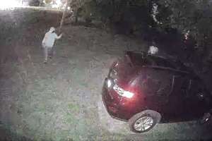 image for 