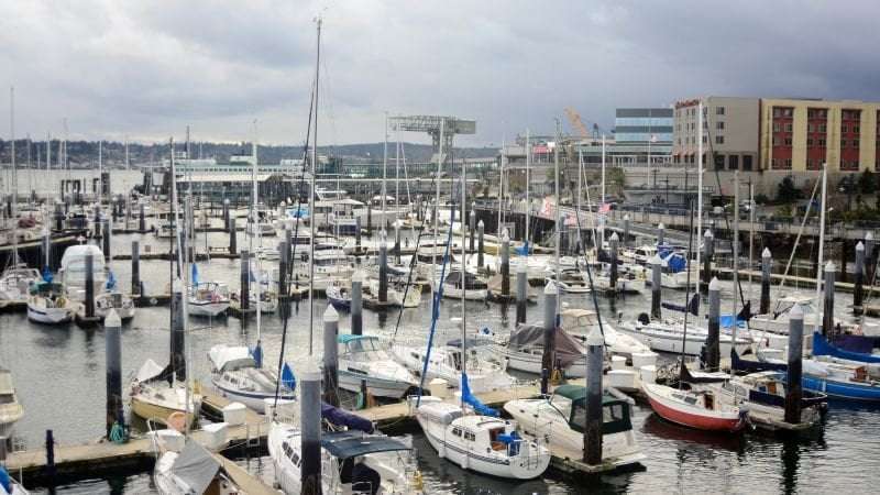 image for River otter drags child off dock and underwater at Washington marina
