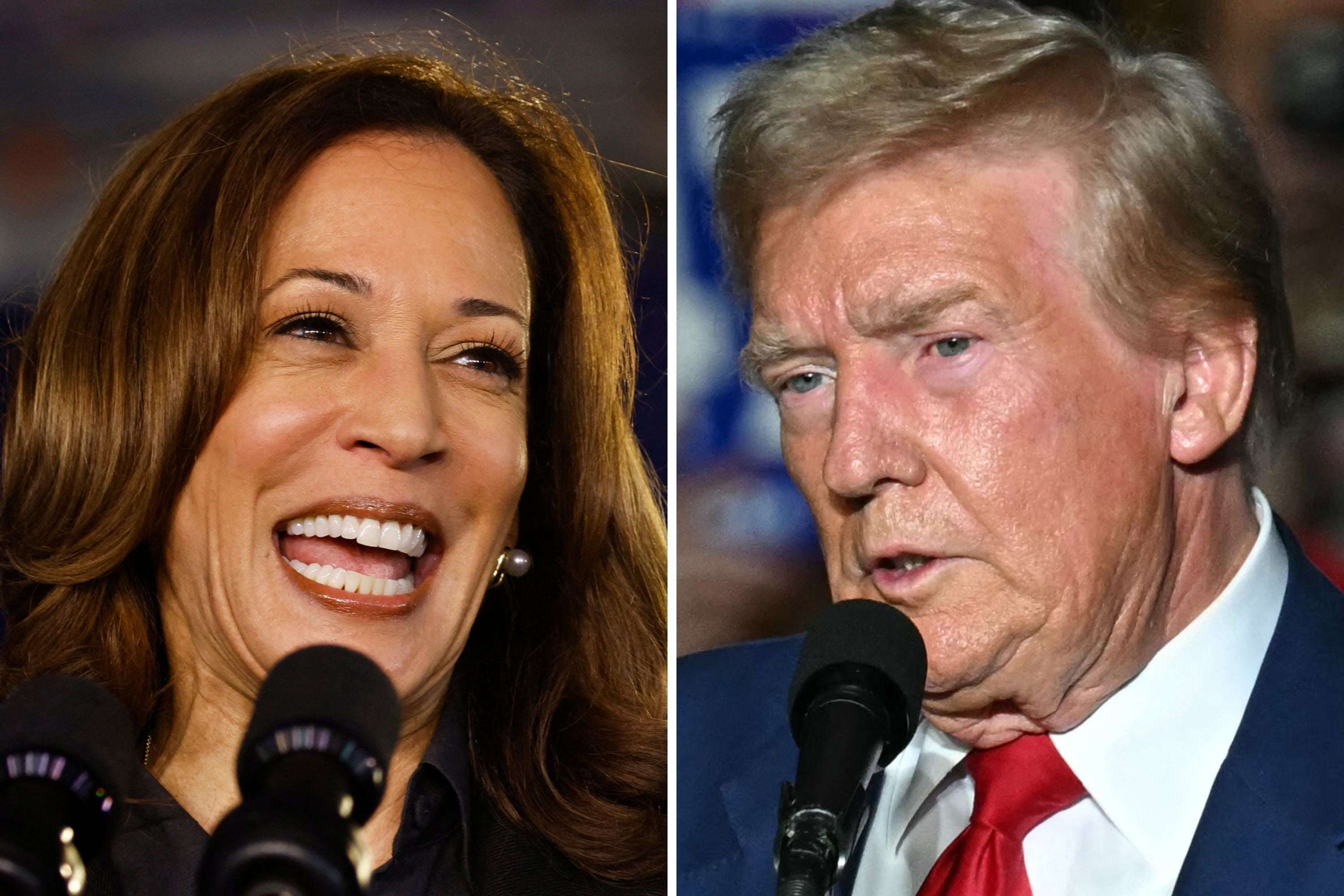 image for Kamala Harris Leads Donald Trump In Six Post-Debate National Polls