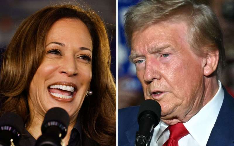 image for Kamala Harris Leads Donald Trump In Six Post-Debate National Polls