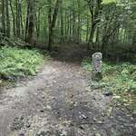 image for The border between Switzerland and France