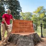 image for I made this white oak stump into the first tree gravestone at the historic Hollywood Cemetery in RVA