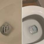 image for Government Documents That Donald Trump Ripped Up And Flushed Down The Toilet