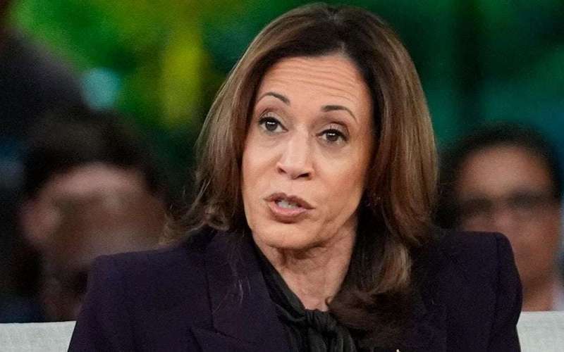 image for Kamala Harris Says Anyone Who Breaks Into Her House Is ‘Getting Shot’