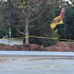 image for Neighbor flying a "don't tread on me" flag while the government takes half his yard for a new road.