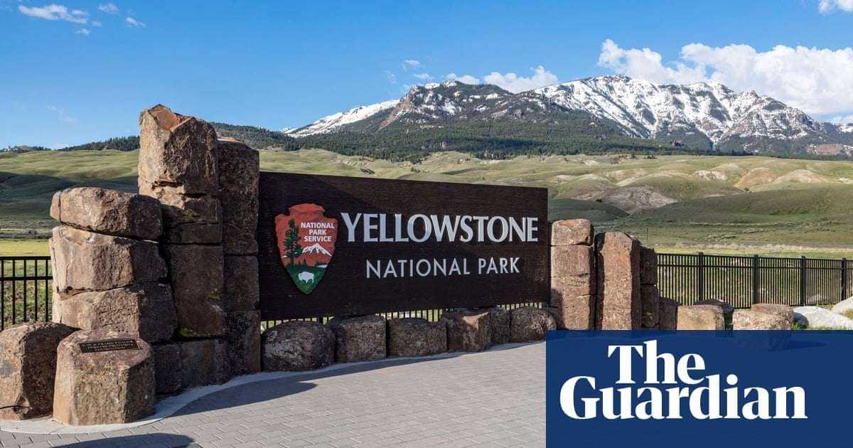 image for Cat lost in Yellowstone travels 800 miles to reunite with owners after two months