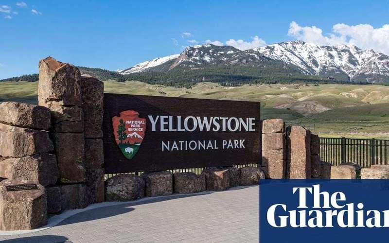 image for Cat lost in Yellowstone travels 800 miles to reunite with owners after two months