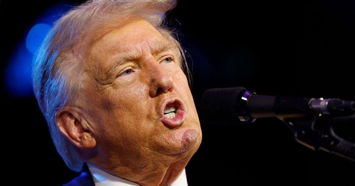 image for Trump Calls MSNBC Host A 'Bimbo' After She Makes Case For Voting Against Him