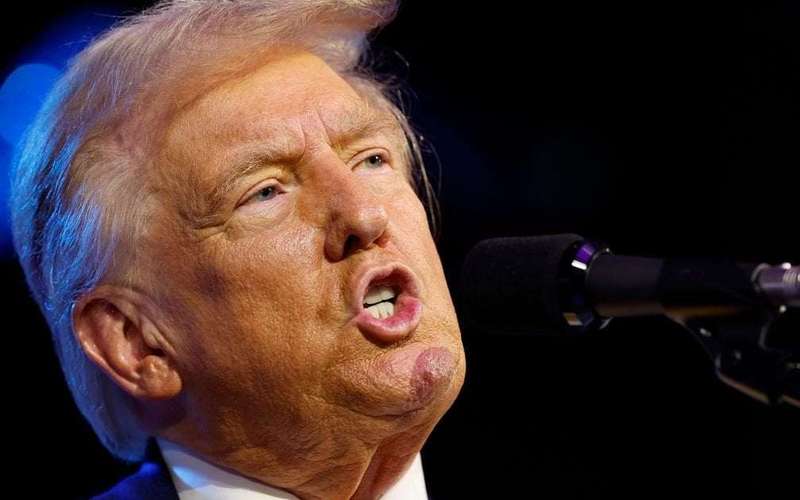 image for Trump Calls MSNBC Host A 'Bimbo' After She Makes Case For Voting Against Him