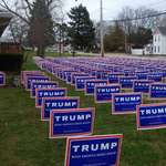image for Totally normal. Not a cult.
